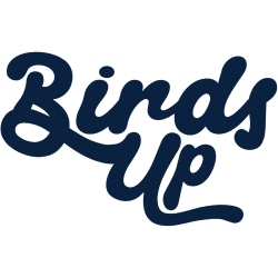 UTSA Roadrunners Logo History - Wordmark Logo | Logo History UTSA Roadrunners Wordmark Logo 2025 - Present